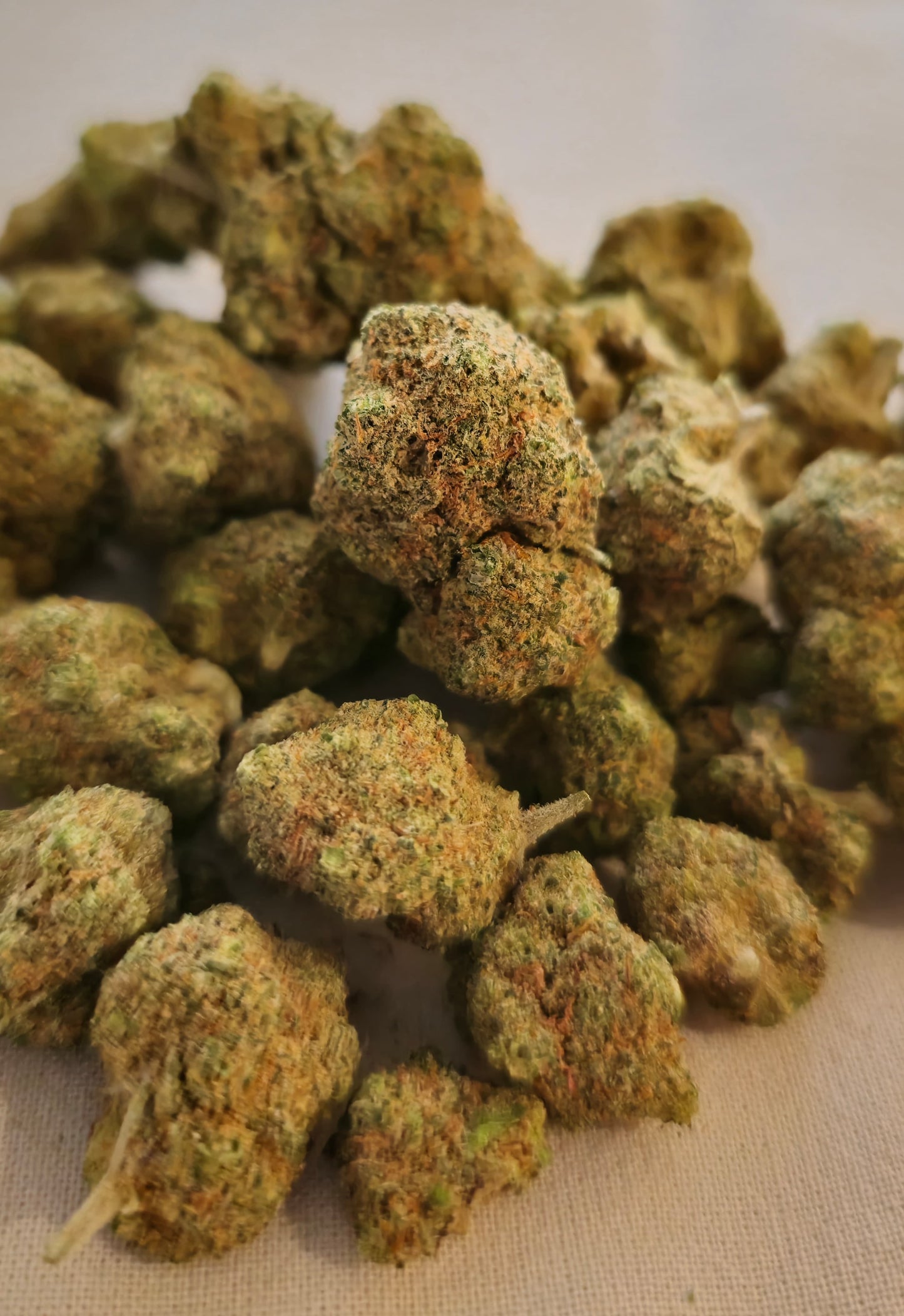 Cogollos de CBD Jasmine Pop Corn de The Green Muse, ideales para vaporizar y disfrutar.