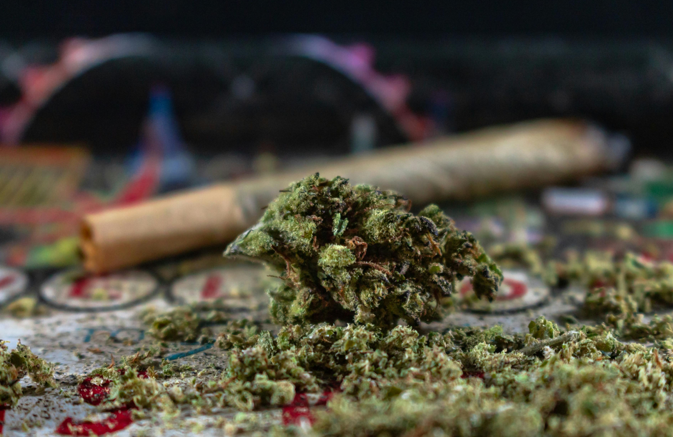 The Green Muse CBD