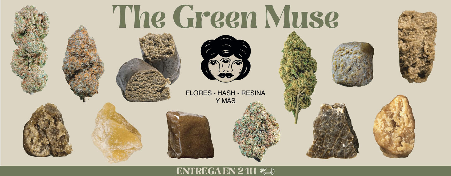 the green muse cbd flores y hash colección 