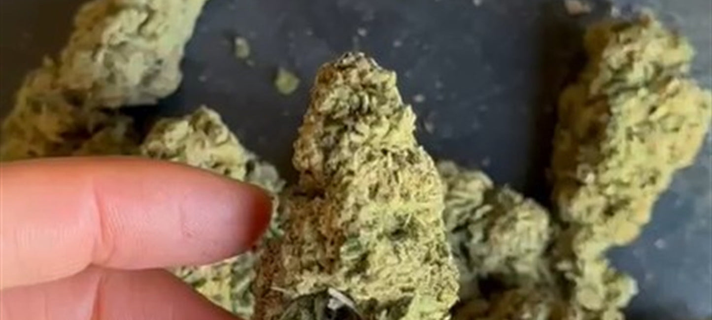 Flor CBD indoor Kiss de The Green Muse