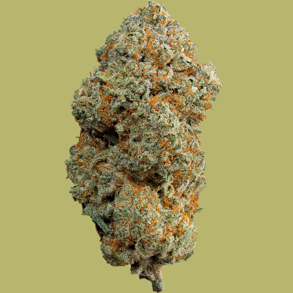 CALI CHEESE GREENHOSE THE GREN MUSE CBD 