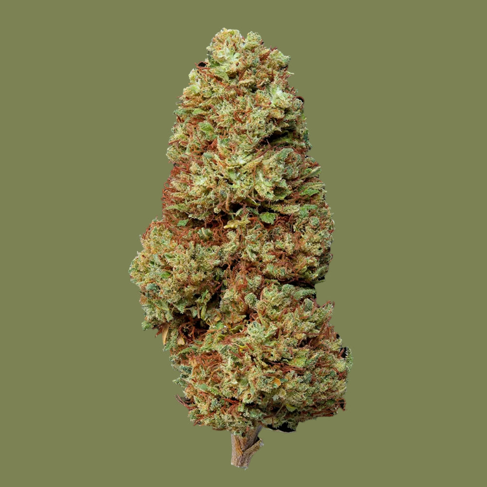 flor aromática Cannatonic The Green Muse CBD 
