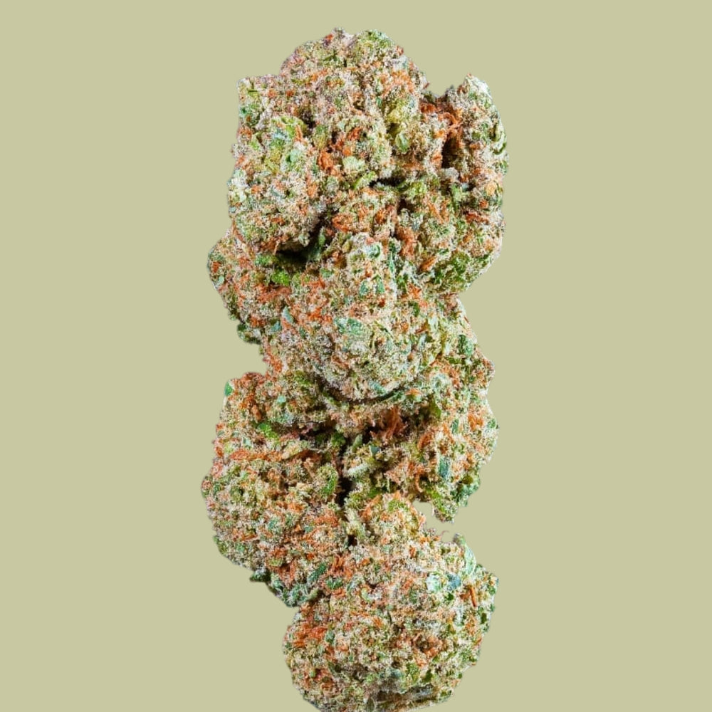 COGOLLOS FLOR INDOOR ORANGE THE GREEN MUSE CBD 