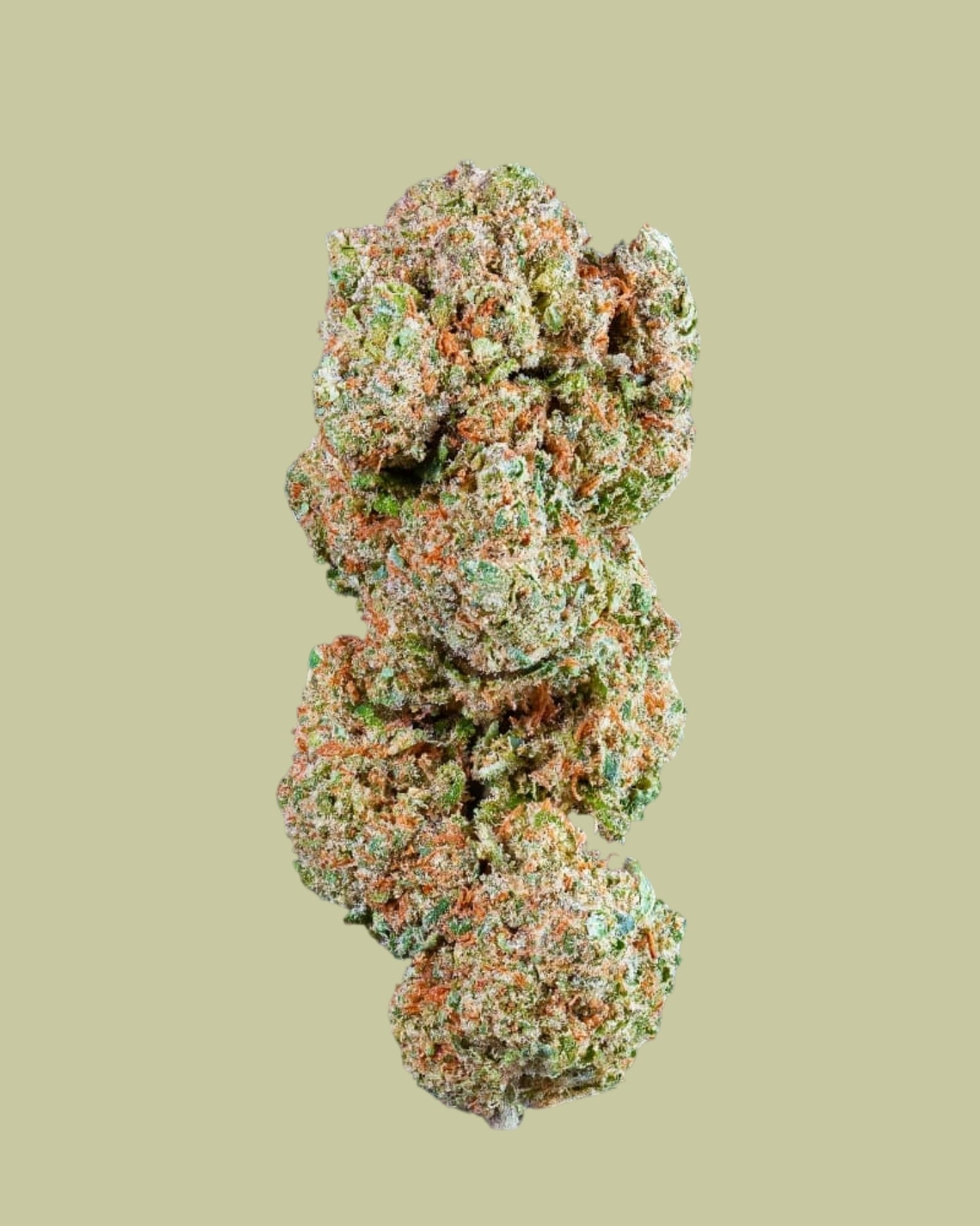COGOLLOS FLOR INDOOR ORANGE THE GREEN MUSE CBD 