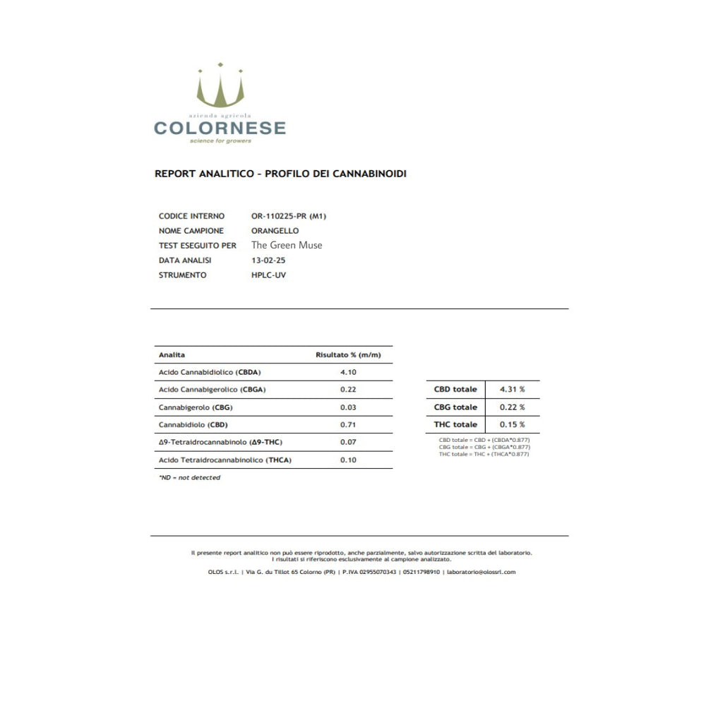 Orange Haze Indoor CBD – Explosión Cítrica y Relajación Premium