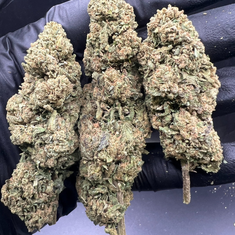 FLORES CBD HIDROPONICA