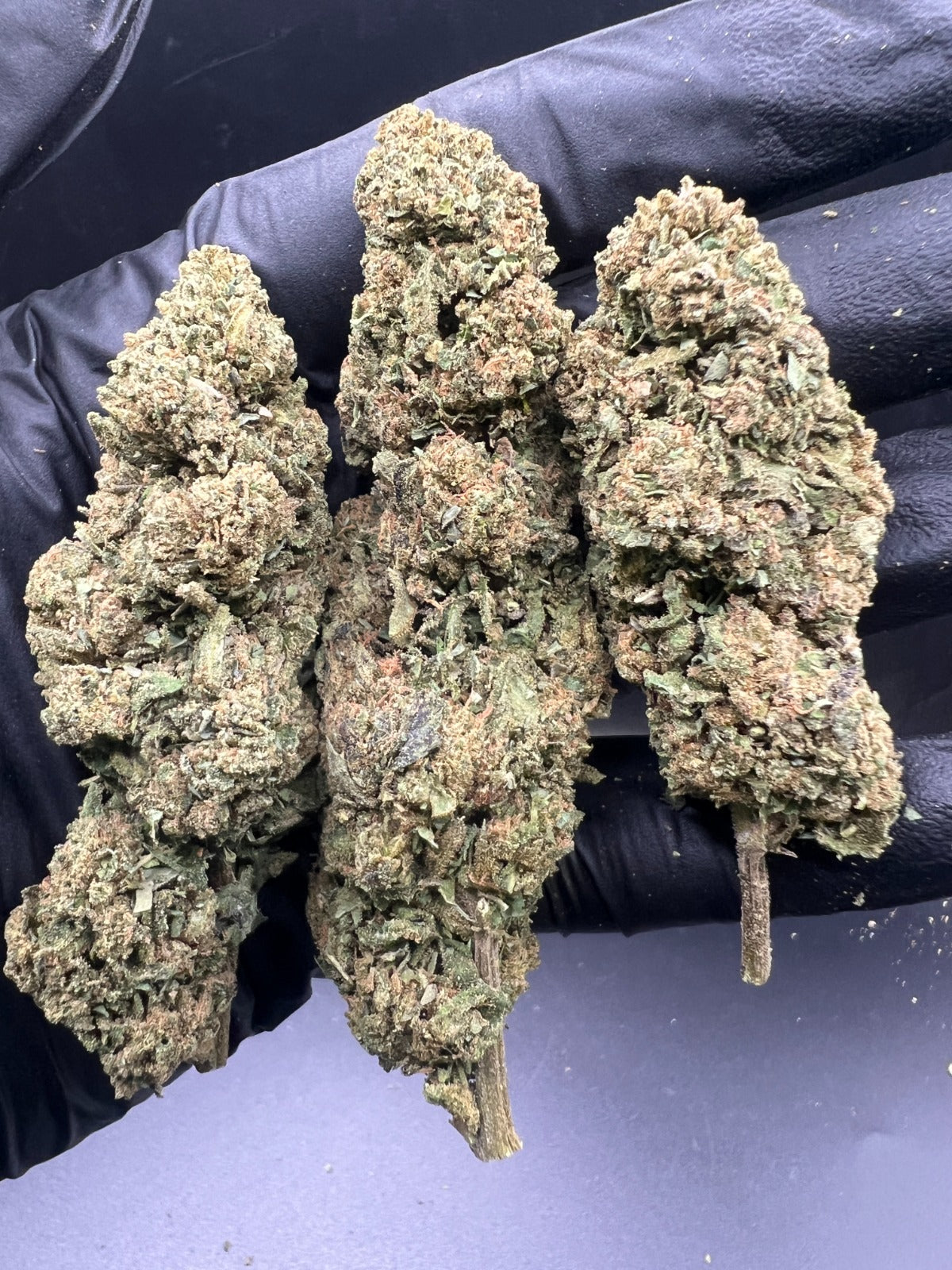 FLORES CBD HIDROPONICA