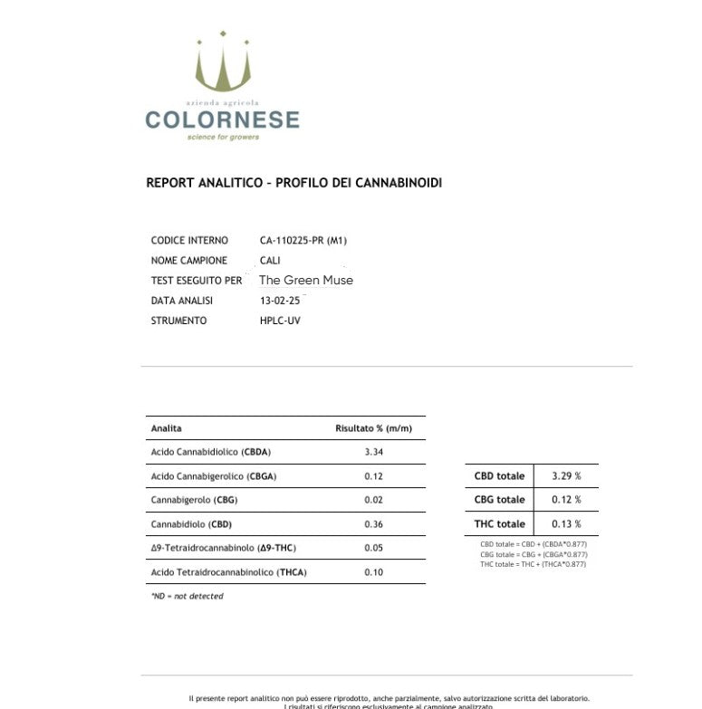 
                  
                    Cogollos de Flor de CBD 17% – Cali Cheese
                  
                
