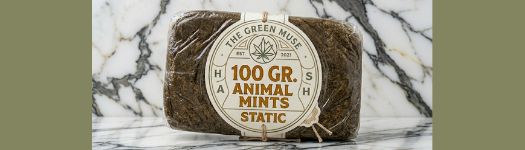 Placa de 100gr de Hash CBD Animal Mints Static - Resina de alta calidad The Green Muse