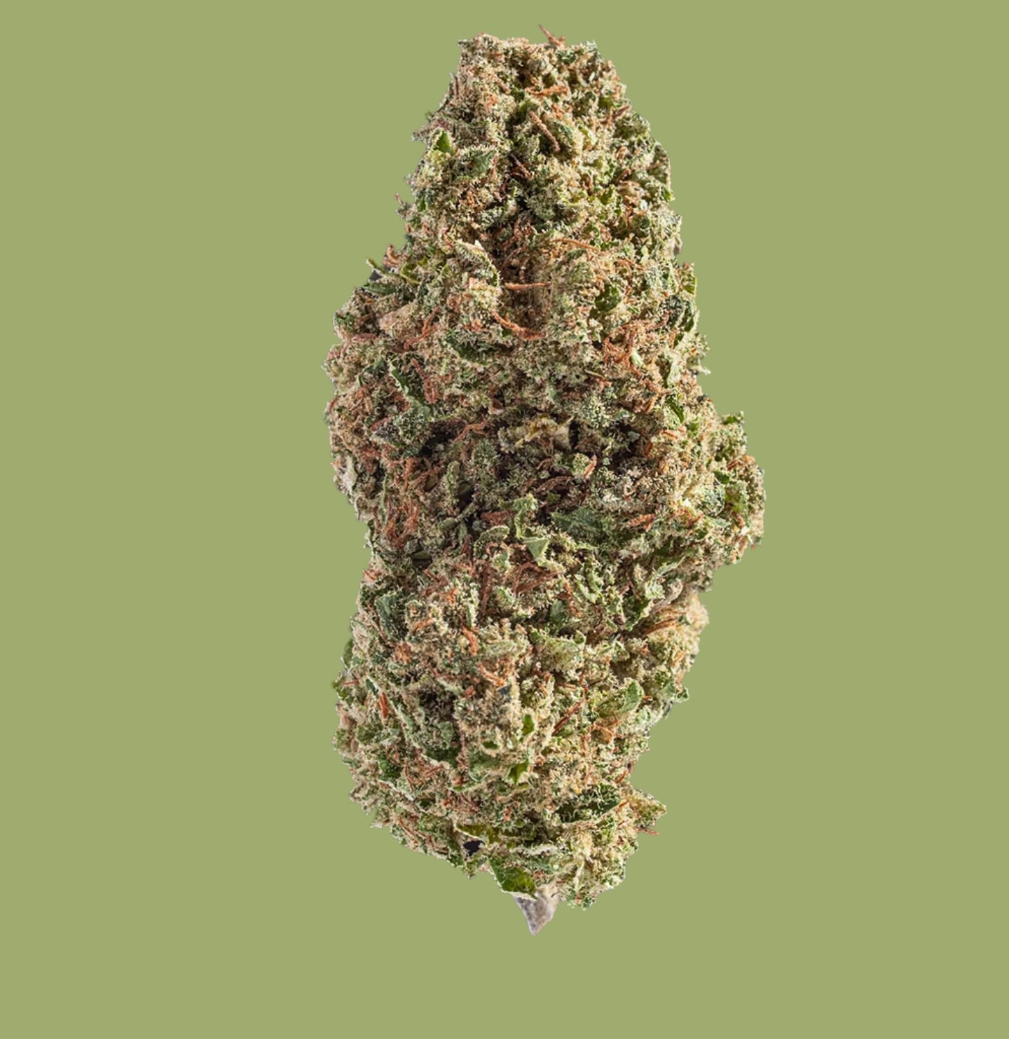 flor CBDP the green muse Blueberry KUSH 