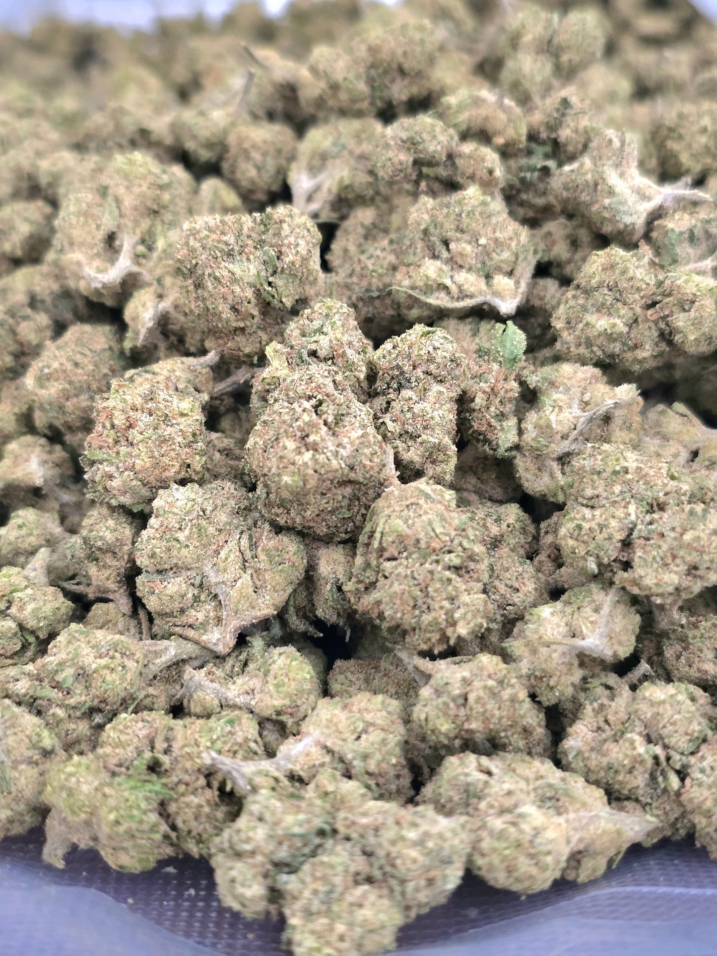 Primer plano de flores resinosas Plutonium CBD en formato small buds compactas de alta densidad