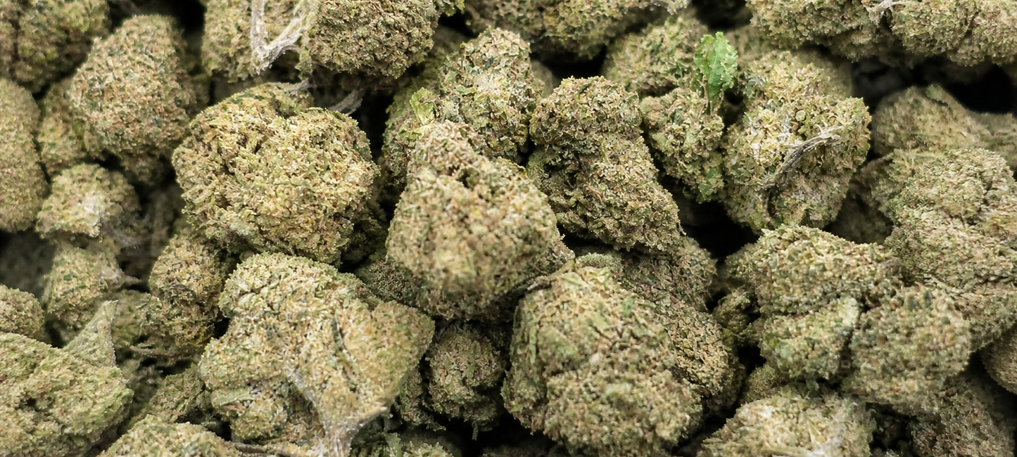Flores CBD Plutonium Small Bud de The Green Muse