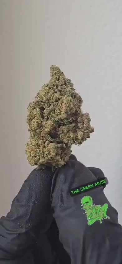 Royal Amnesia Hidropónica 16% CBD