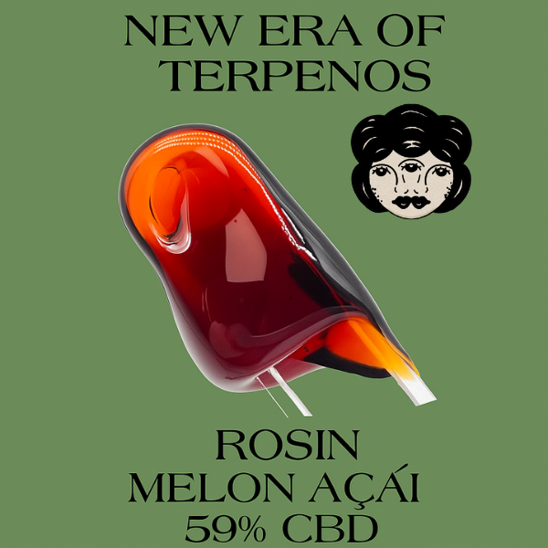 
                  
                    rosin 59% the green muse cbd 
                  
                