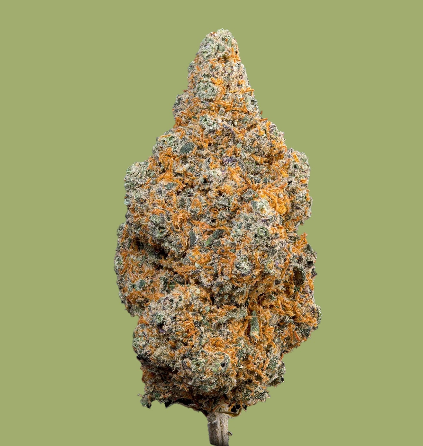Flores Pineapple CBD – Sabor Tropical & Relajación Natural